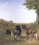 Jacques-Laurent Agasse White-Tailed Gnus (mk25) oil painting reproduction